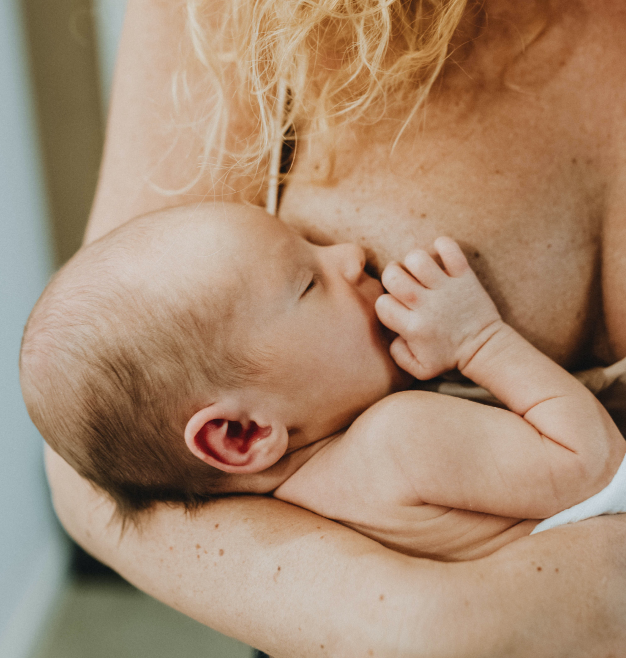 anatomy of breastfeeding the good life learning