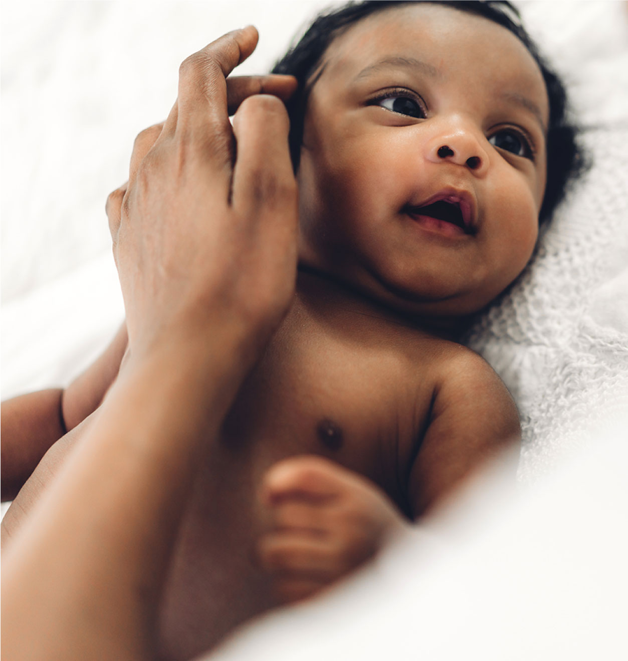 anatomy of breastfeeding the good life learning